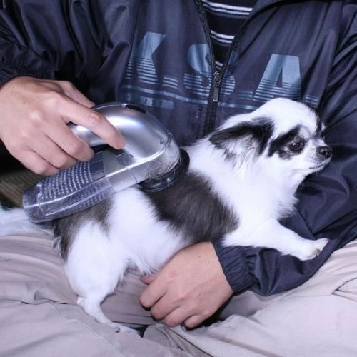 Portable Pet Hair Vacuum