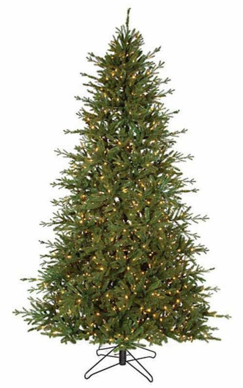 Autograph Foliages C-120984 12 ft. Caroline Fir Tree, Green
