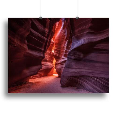 Antelope Canvas Print or Poster