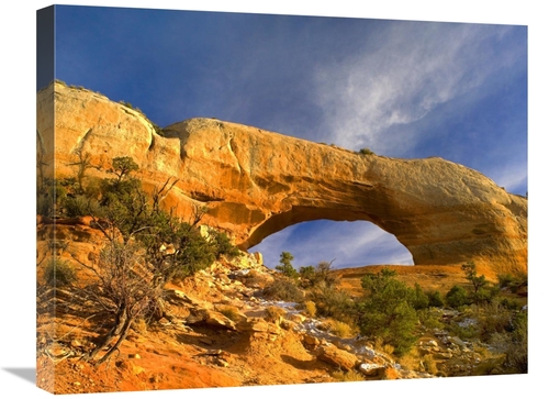 Global Gallery GCS-397185-2024-142 20 x 24 in. Wilson Arch with A Span