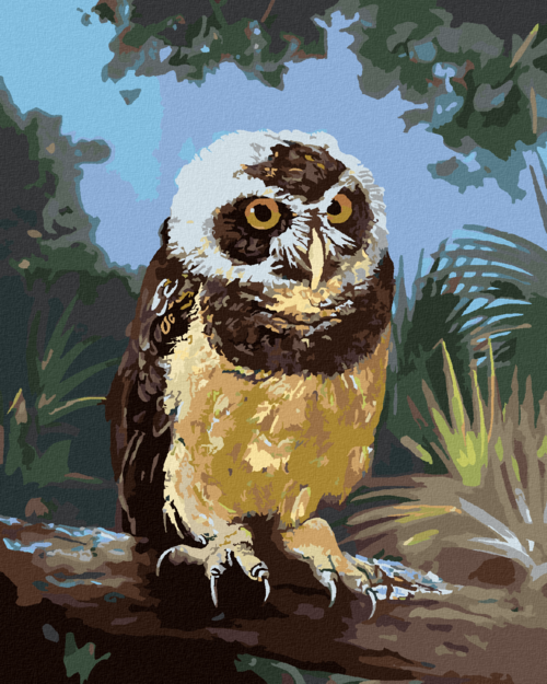 Zuty - Paint by Numbers - OWL SITTING ON A LOG (D. RUSTY RUST), 40x50