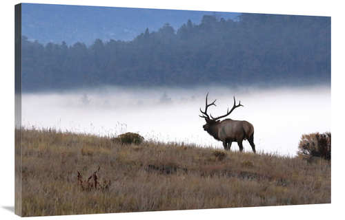 Global Gallery GCS-486461-40-142 40 in. In to the Fog Art Print - Vic 