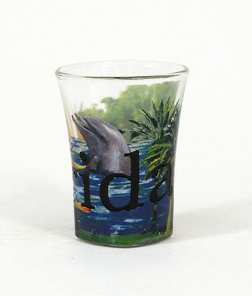 Americaware SGFLA02 Florida Full Color  Etched  Shot Glass