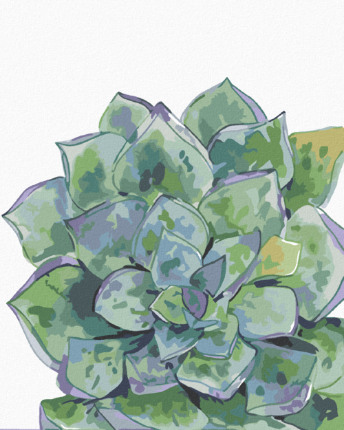 Paint by Numbers - SUCCULENT (ALEXANDRIA GILBERT)