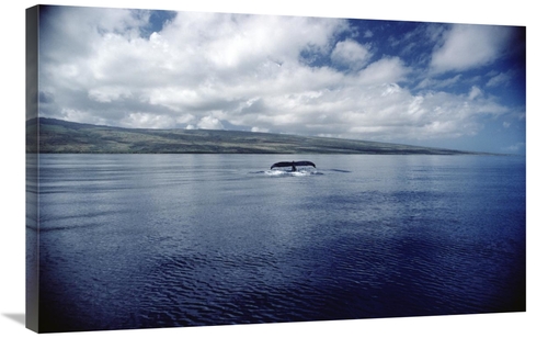 Global Gallery GCS-450579-2436-142 24 x 36 in. Humpback Whale Tail Sla