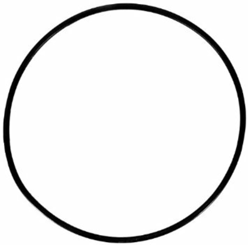 Waterway W13061 O-Ring For 1 Piece Cap