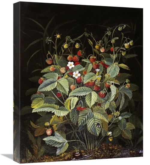 Global Gallery GCS-268353-22-142 22 in. Wild Strawberries Art Print - 