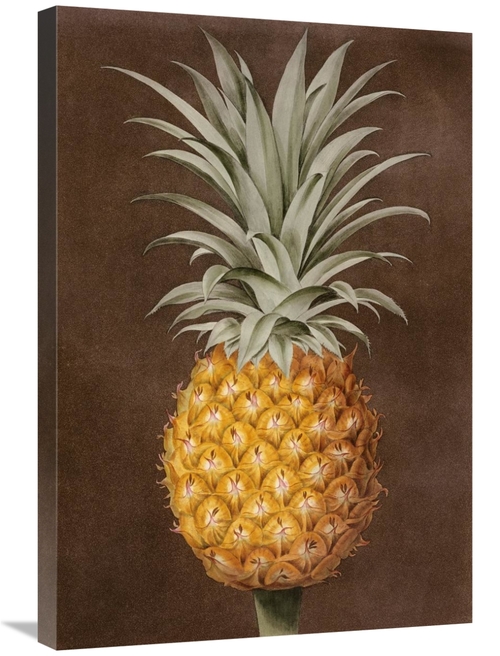 Global Gallery GCS-267786-30-142 30 in. Pineapple Art Print - George B