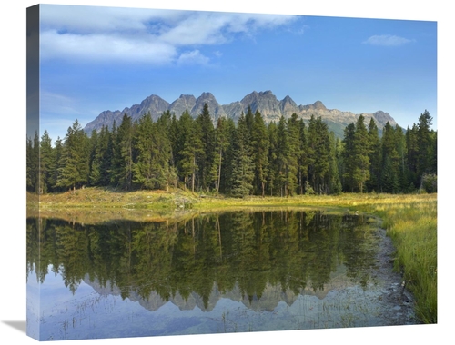 Global Gallery GCS-397195-2228-142 22 x 28 in. Yellowhead Mountain & Y