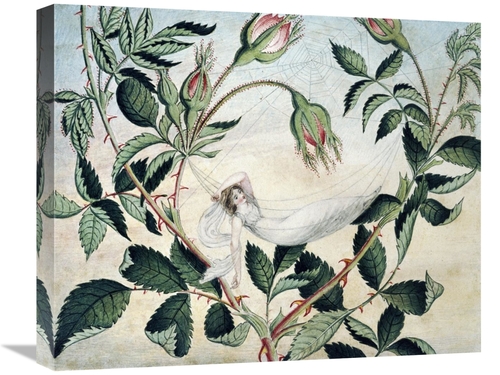 Global Gallery GCS-266932-22-142 22 in. A Fairy Resting in a Hammock A