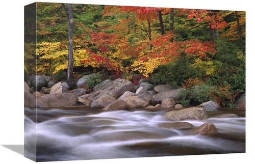 Global Gallery GCS-396839-1216-142 12 x 16 in. Autumn Along Swift Rive