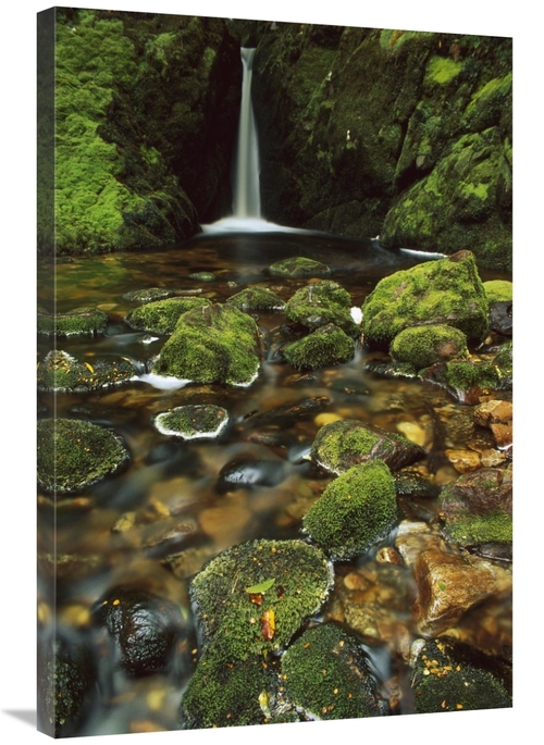 Global Gallery GCS-453505-2436-142 24 x 36 in. Mossy Stream Near Loch 