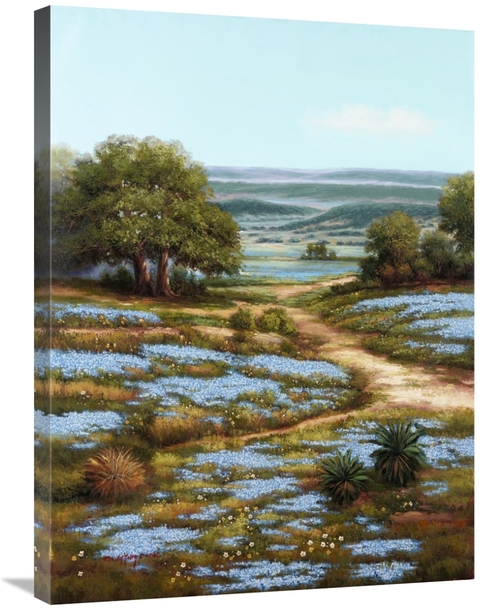 Global Gallery GCS-339644-2432-142 24 x 32 in. Valley of the Bluebells