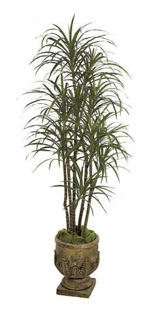 Autograph Foliages W-2770 - 6.5 Foot Dracaena Marginata - Green-Red