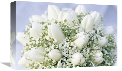 Global Gallery GCS-398273-1218-142 12 x 18 in. Bouquet of White Tulips
