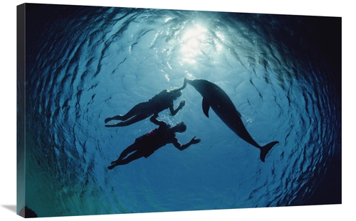 Global Gallery GCS-450628-2436-142 24 x 36 in. Bottlenose Dolphin Silh