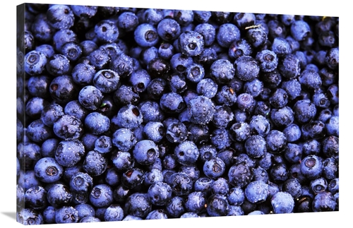 Global Gallery GCS-398278-2436-142 24 x 36 in. Bilberry Close Up of Ha