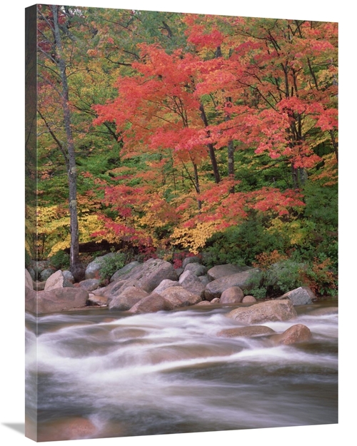 Global Gallery GCS-396840-2432-142 24 x 32 in. Autumn Along Swift Rive