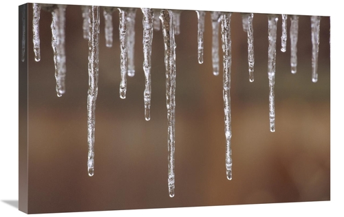 Global Gallery GCS-452846-2030-142 20 x 30 in. Single Strand of Icicle