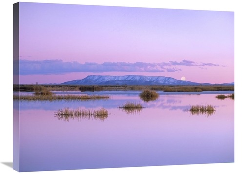 Global Gallery GCS-397145-2432-142 24 x 32 in. Full Moon Rising Over S