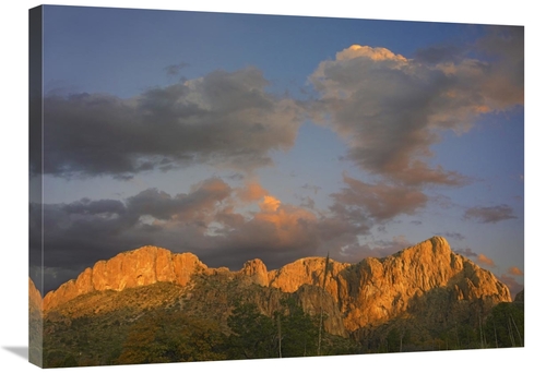 Global Gallery GCS-396652-2432-142 24 x 32 in. Sunlight Illuminating C