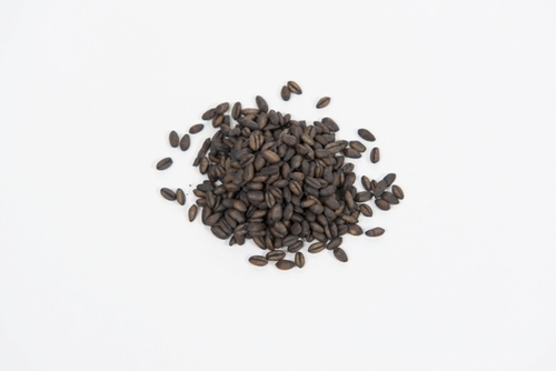 Wilco 60016 1 Zinc Homeowner Bait