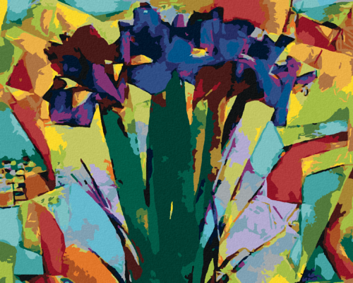 Paint by Numbers - ABSTRACT IRISES