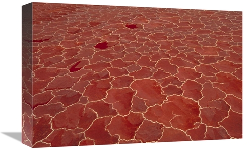 Global Gallery GCS-452871-1218-142 12 x 18 in. Soda & Algae Formation 