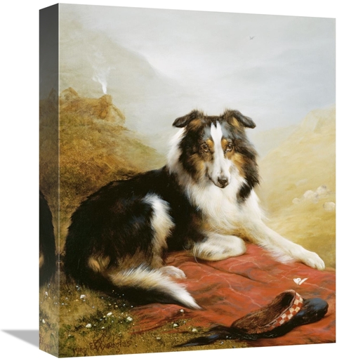 Global Gallery GCS-266236-16-142 16 in. A Collie, the Guardian of 