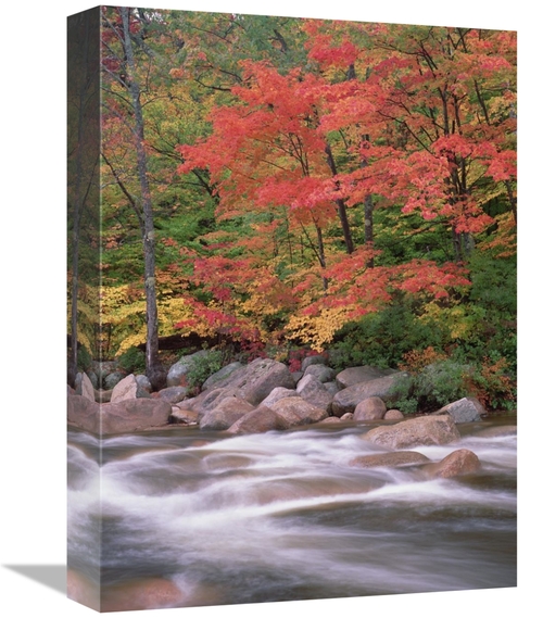 Global Gallery GCS-396840-1216-142 12 x 16 in. Autumn Along Swift Rive