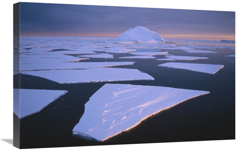 Global Gallery GCS-395657-2030-142 20 x 30 in. Broken Fast Ice, Un