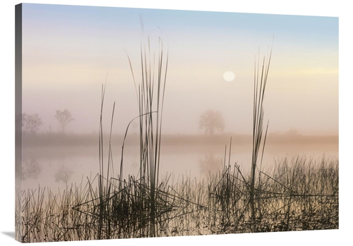 Global Gallery GCS-452271-3040-142 30 x 40 in. Reeds in Sweet Bay Pond