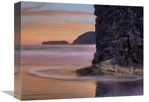 Global Gallery GCS-396632-1216-142 12 x 16 in. Barnacle-Covered Seasta