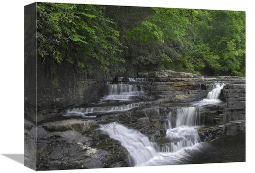 Global Gallery GCS-396294-1216-142 12 x 16 in. Dismal Falls, Jeffe