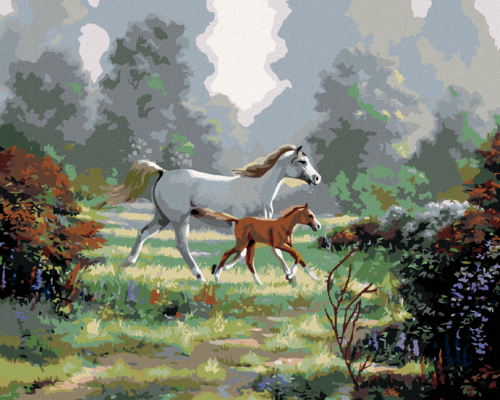 Zuty - Paint by Numbers - MARE AND FOAL IN THE PASTURE (NORTHERN