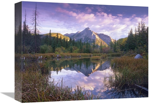 Global Gallery GCS-396677-1216-142 12 x 16 in. Mount Lorette & Spruce 