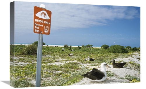 Global Gallery GCS-451448-1624-142 16 x 24 in. Sign Posted Birds Only 