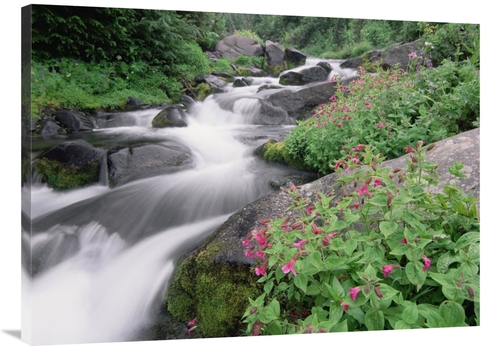 Global Gallery GCS-396995-3040-142 30 x 40 in. Paradise River Surround