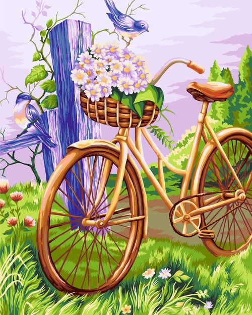 Painting by Numbers kit Crafting Spark Bicycle with Flowers E009 19.69