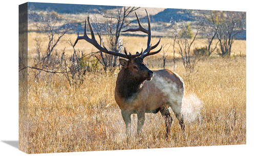 Global Gallery GCS-486493-22-142 22 in. Morning Breath Art Print - Vic