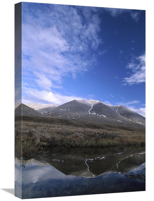 Global Gallery GCS-452994-1624-142 16 x 24 in. Sadlerochit Mountains &