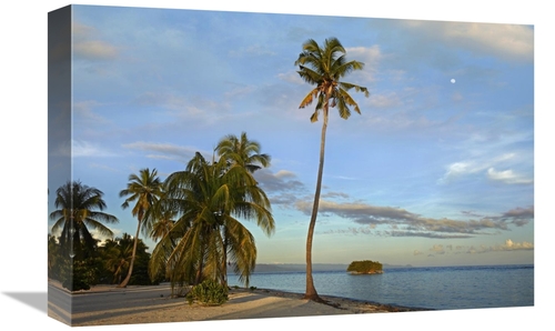 Global Gallery GCS-396348-1218-142 12 x 18 in. Coconut Palm Trees on P