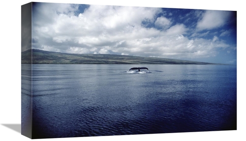 Global Gallery GCS-450579-1218-142 12 x 18 in. Humpback Whale Tail Sla