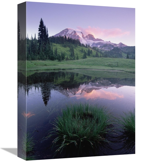 Global Gallery GCS-452048-1216-142 12 x 16 in. Mt Rainier Reflected in