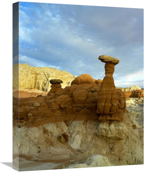 Global Gallery GCS-452134-1824-142 18 x 24 in. Toadstool Caprocks,