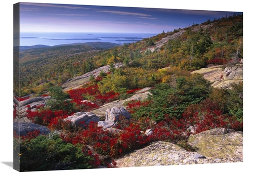 Global Gallery GCS-396692-2432-142 24 x 32 in. Atlantic Coast From Cad