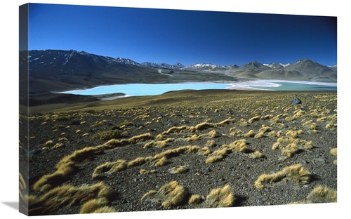 Global Gallery GCS-451634-2030-142 20 x 30 in. Eduardo Avaroa Faunisti