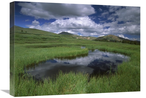 Global Gallery GCS-397046-1824-142 18 x 24 in. Cumulus Clouds Reflecte