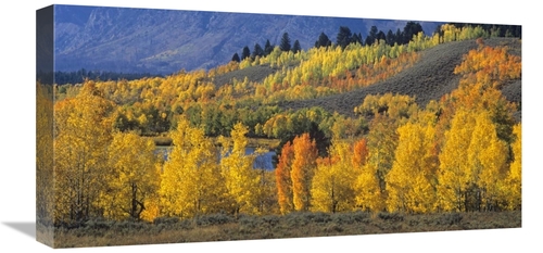 Global Gallery GCS-467282-1224-142 12 x 24 in. Ranger Peak & Aspen For