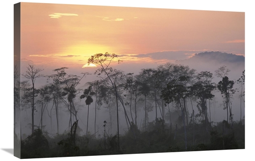 Global Gallery GCS-397910-2030-142 20 x 30 in. River Edge At Dawn,